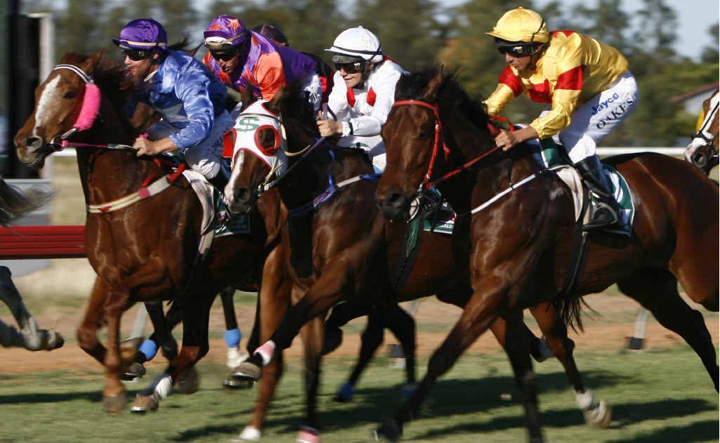 Racing at Pioneer Park will wrap up for the year tomorrow. Racing at Pioneer Park will wrap up for the year tomorrow.